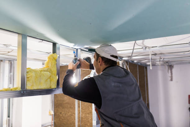 Best Residential Insulation in Cana, VA