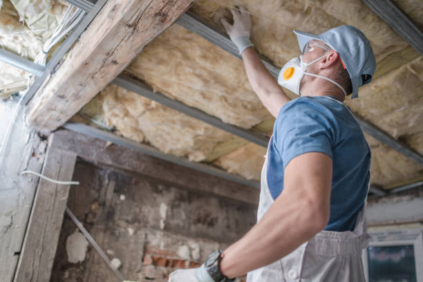 Best Commercial Insulation in Cana, VA