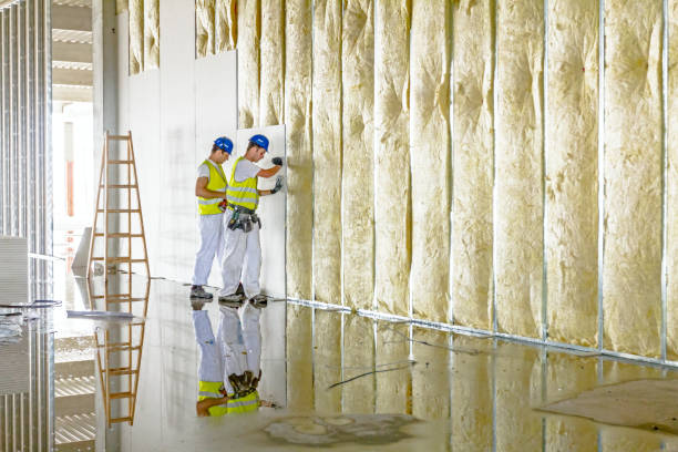 Best Residential Insulation in Cana, VA